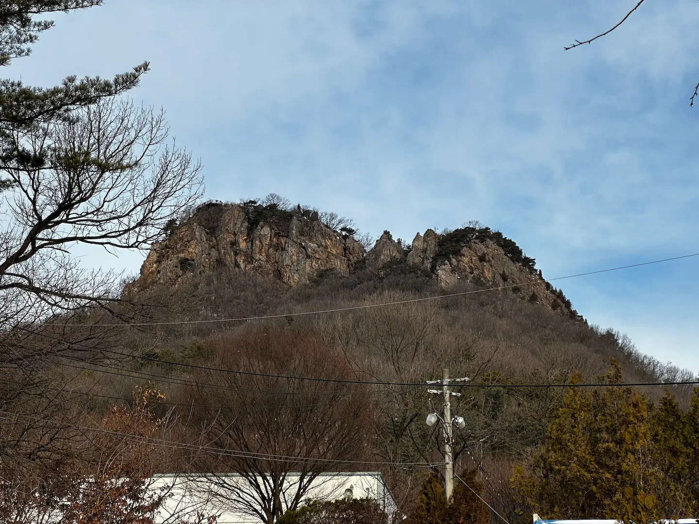 조비산